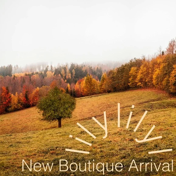 ✨lilylilyl New Boutique Arrival!✨ - Picture 1 of 2